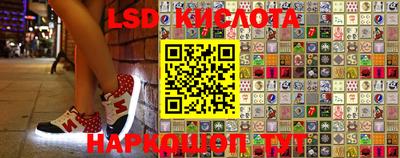 дживик Кингисепп