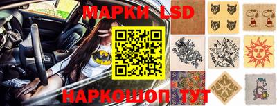 дживик Кингисепп