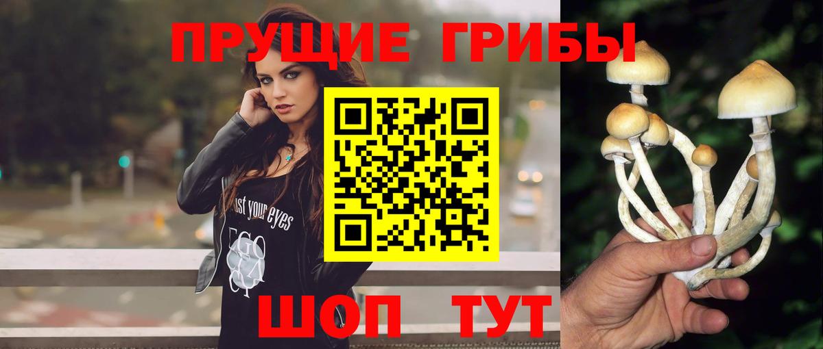 Псилоцибиновые грибы Magic Shrooms  Галлюциногенные грибы Psilocybe  Вход с VPN  Когалым 